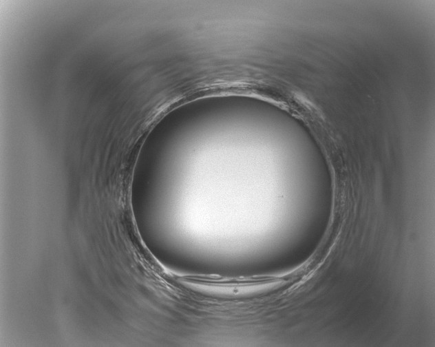 X0000077991353200611171744