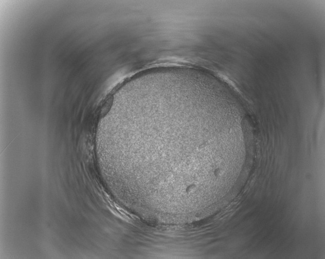 X0000077991355200611171744