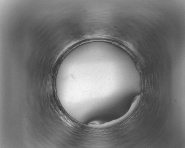 X0000077991356200611171744