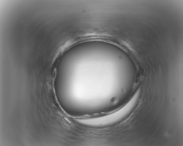 X0000077991357200611171744