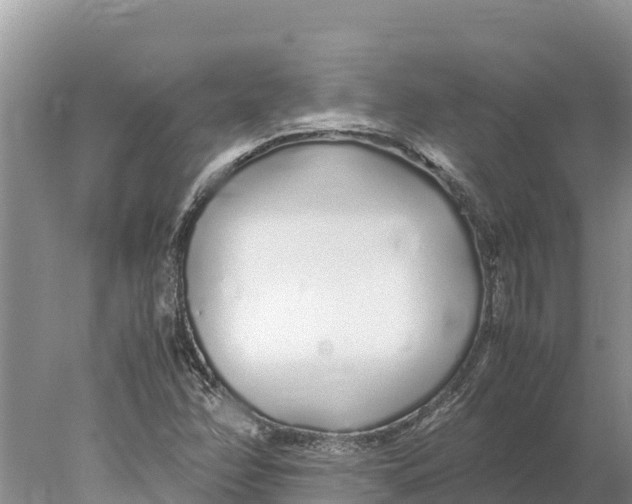 X0000077991358200611171744