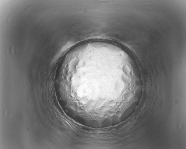 X0000077991359200611171744