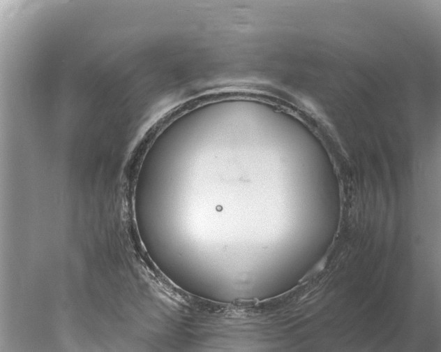 X0000077991360200611171744