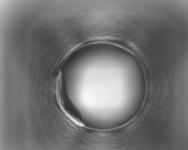 X0000077991361200611171744