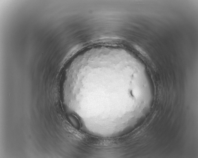 X0000077991362200611171744