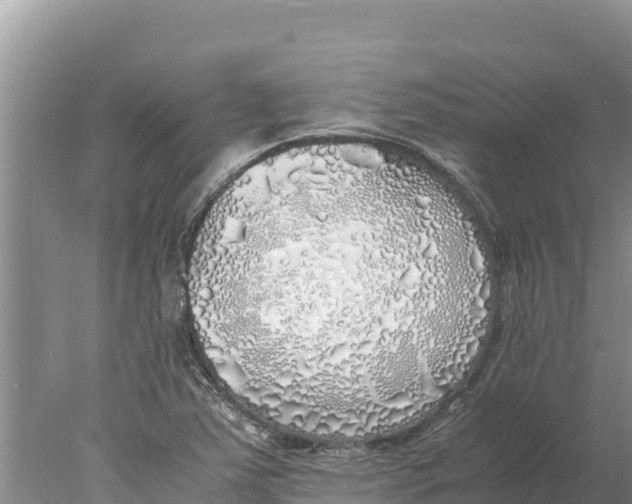 X0000077991363200611171744