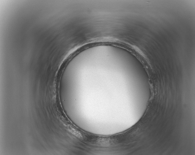 X0000077991364200611171744