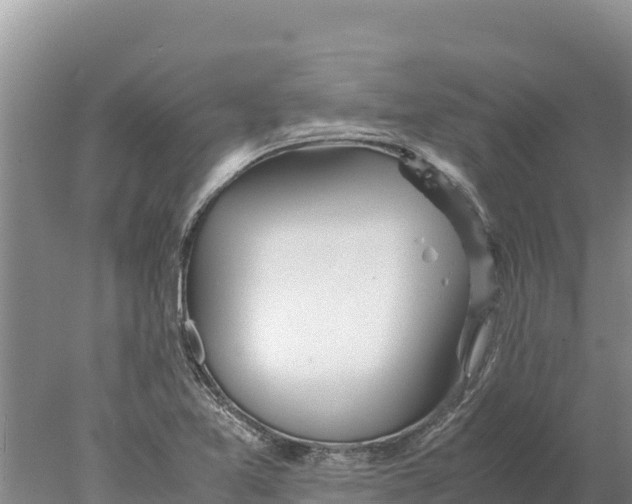 X0000077991365200611171743