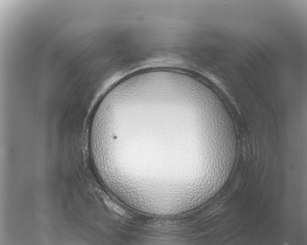 X0000077991366200611171743