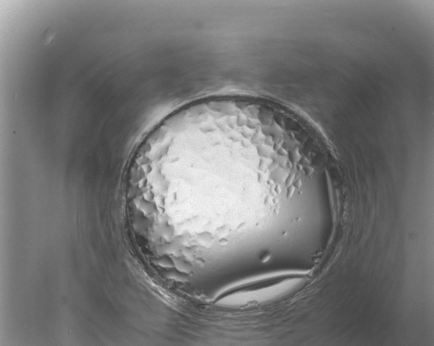 X0000077991367200611171743