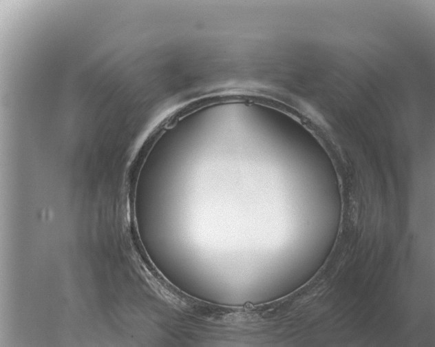 X0000077991368200611171743