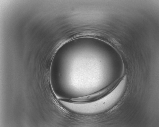 X0000077991369200611171743