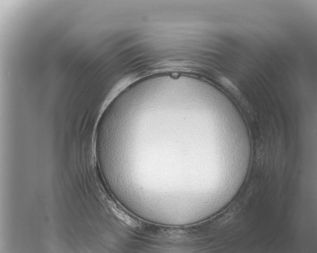 X0000077991370200611171743