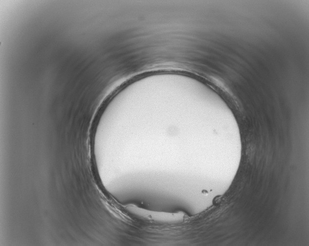 X0000077991372200611171743