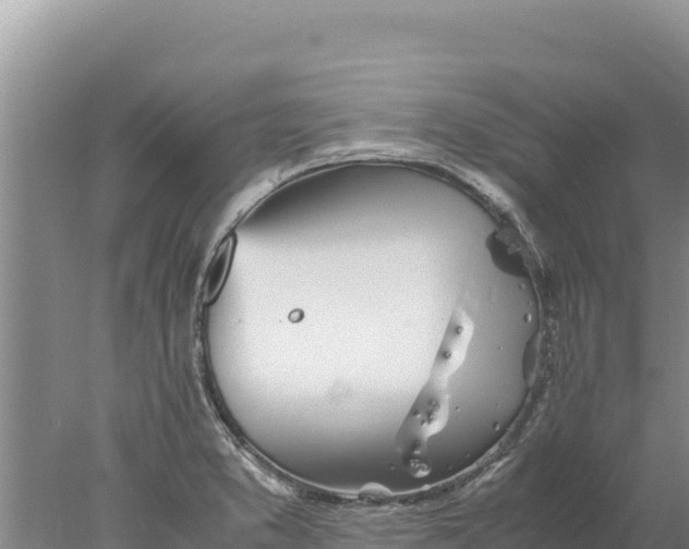 X0000077991373200611171743