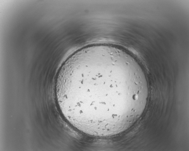 X0000077991374200611171743