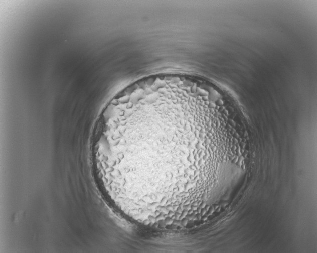 X0000077991375200611171743