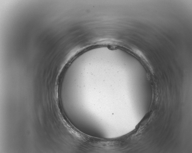 X0000077991376200611171743