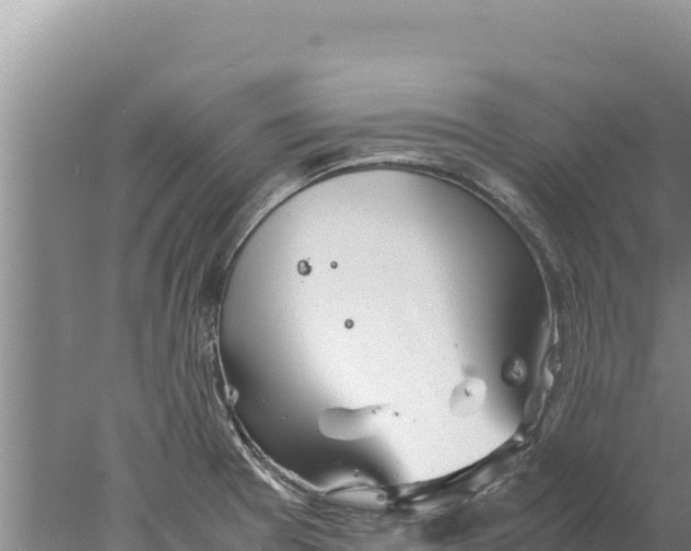 X0000077991377200611171743