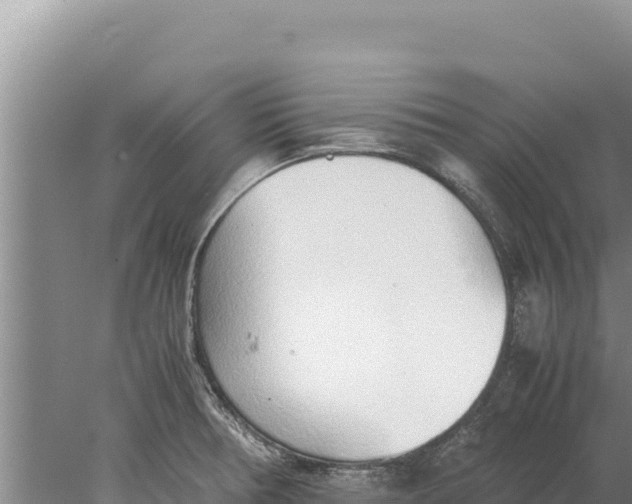 X0000077991378200611171743