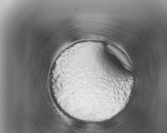 X0000077991379200611171743