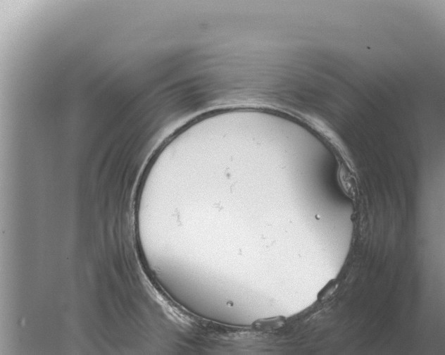 X0000077991380200611171743