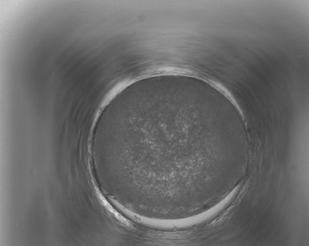 X0000077991381200611171743