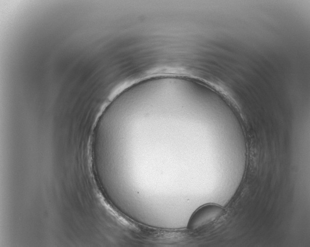 X0000077991382200611171743