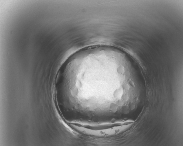 X0000077991383200611171743