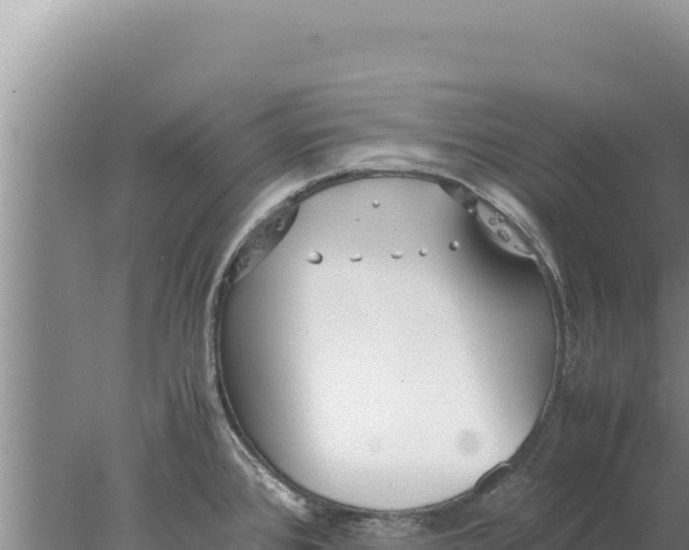 X0000077991384200611171743