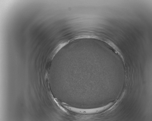 X0000077991385200611171743