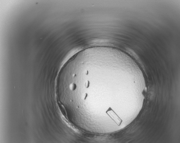 X0000077991386200611171743