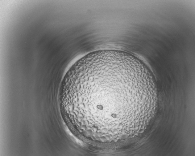 X0000077991387200611171743