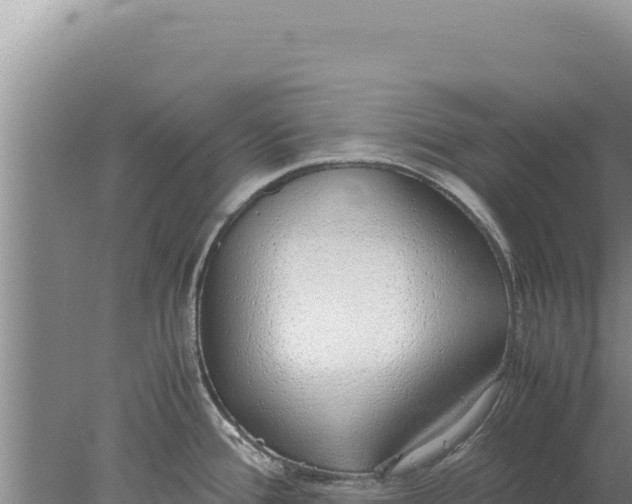 X0000077991388200611171743