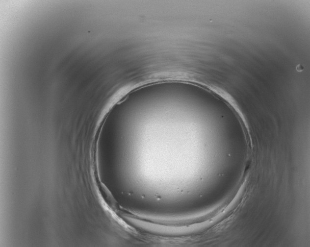 X0000077991389200611171743