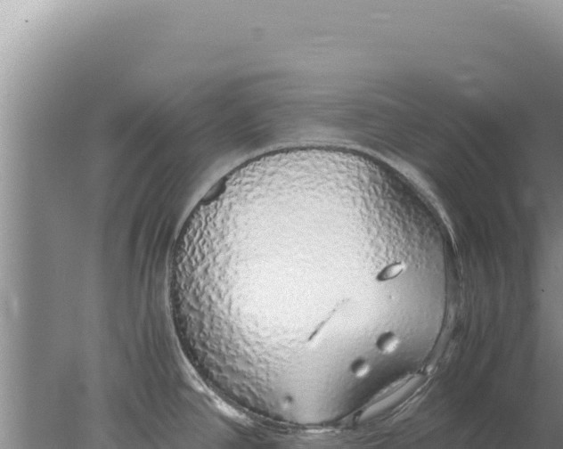 X0000077991390200611171743