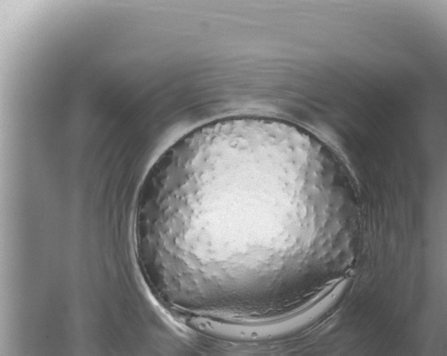 X0000077991391200611171743