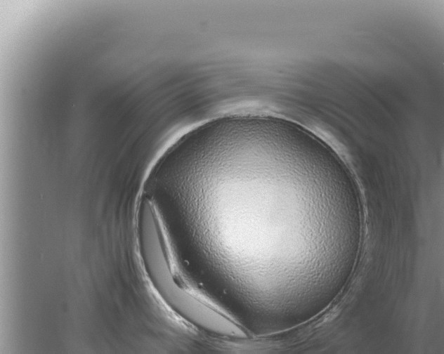 X0000077991392200611171743