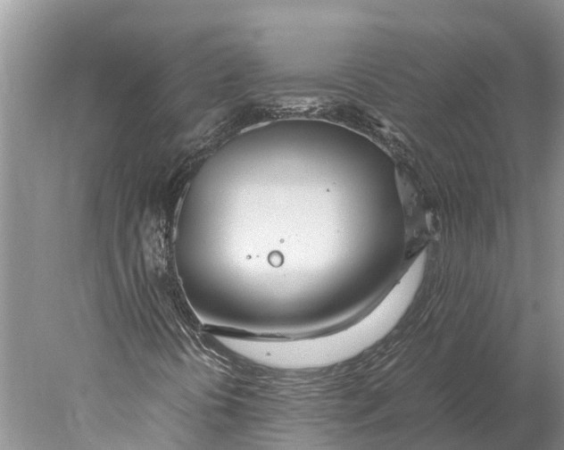 X0000077991394200611171742