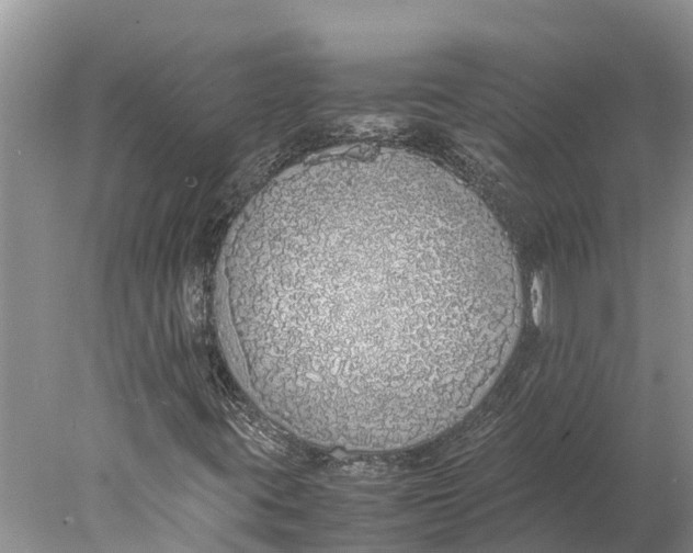 X0000077991395200611171742