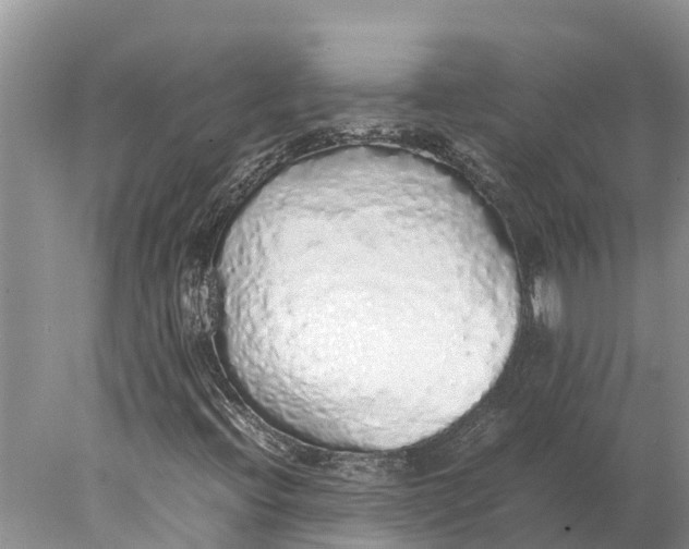 X0000077991396200611171742