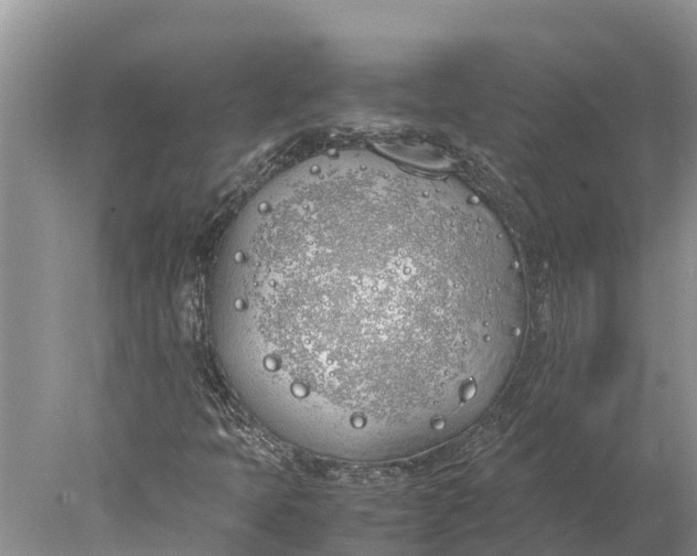 X0000077991397200611171742