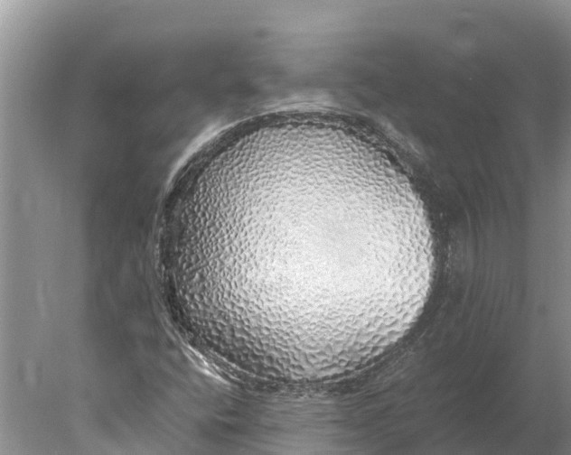 X0000077991400200611171742