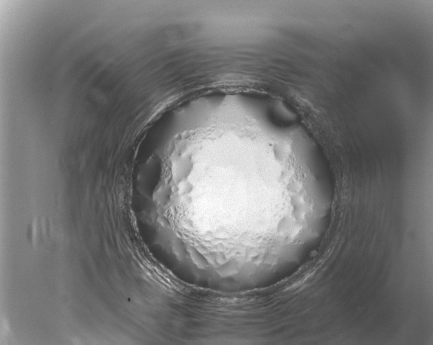 X0000077991401200611171742