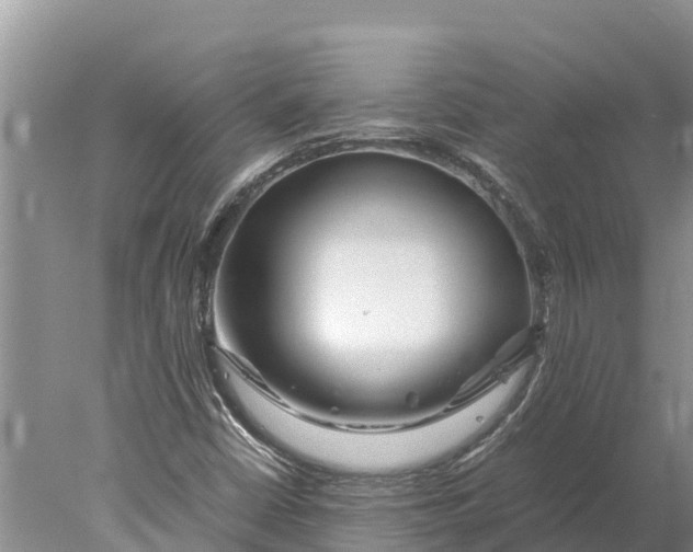 X0000077991402200611171742