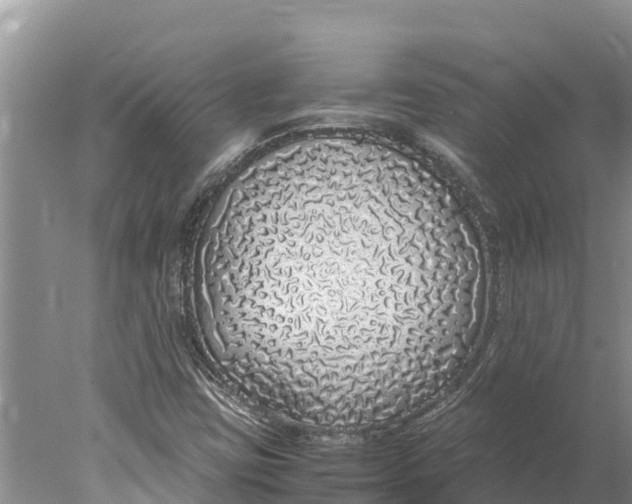 X0000077991403200611171742