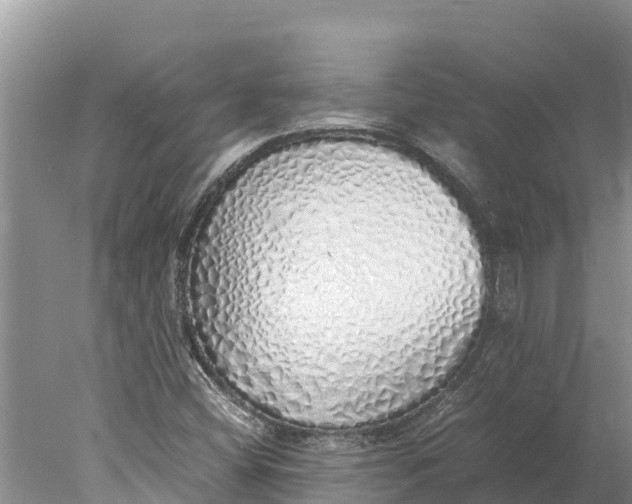 X0000077991404200611171742