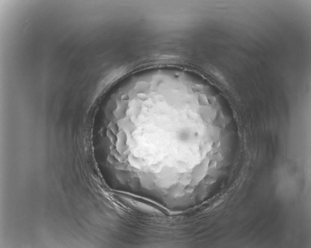 X0000077991405200611171742