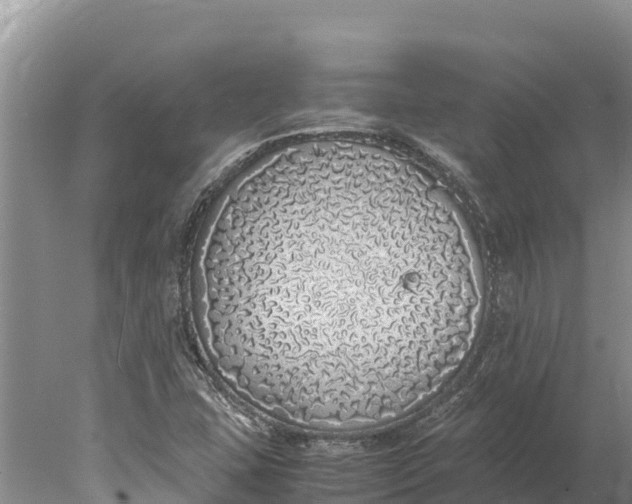 X0000077991407200611171742