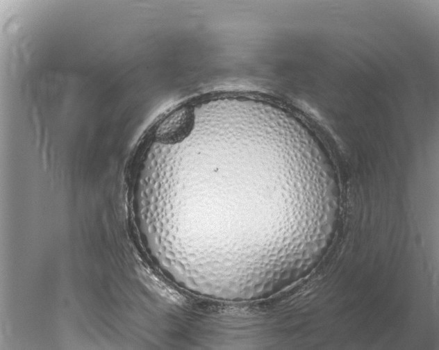 X0000077991408200611171742